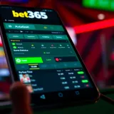 User-friendly interface of Bet365 Aviator app showing betting options and game statistics